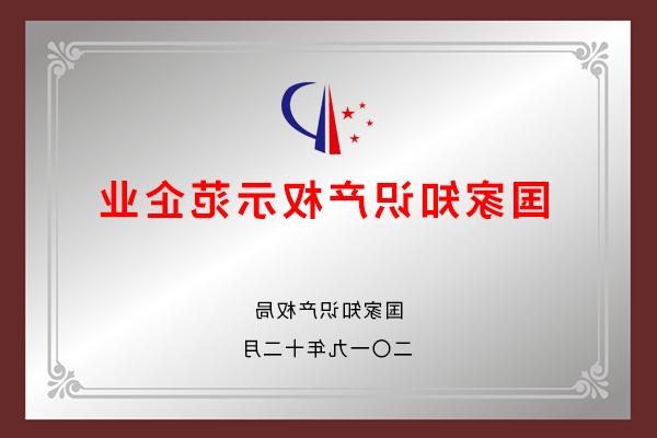 国家知识产权示范企业